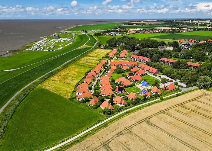 Daire Lilli Marleen 9-1-3 Eg *