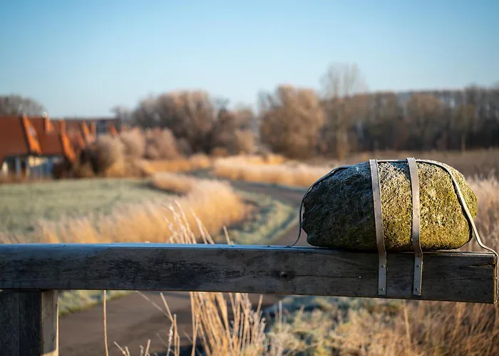 Daire Lilli Marleen 9-1-3 Eg