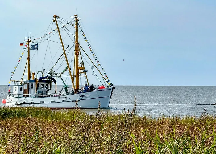 Daire Lilli Marleen 9-1-3 Eg *