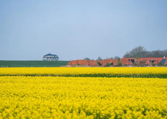 Daire Lilli Marleen 9-1-3 Eg *