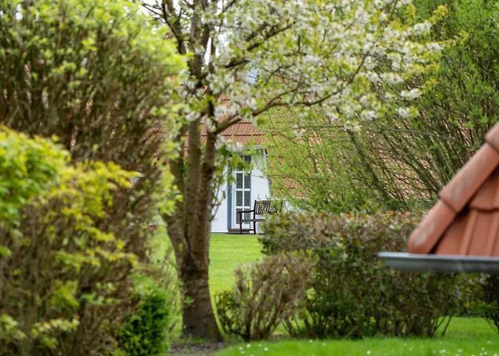 Daire Lilli Marleen 9-1-3 Eg Wremen